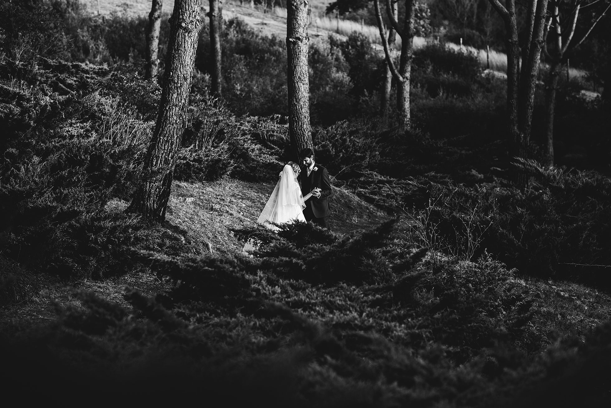 matrimonio le sette fonti